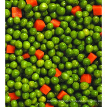 Первое качество Green Mung Bean